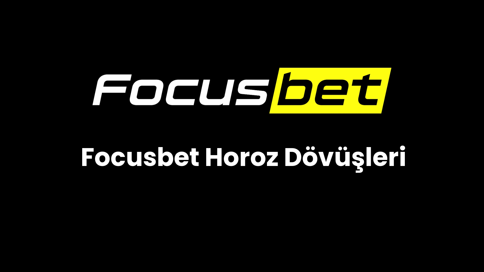 focusbet horoz dovusleri 139
